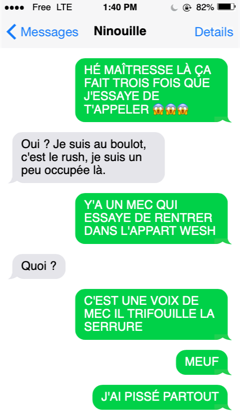 Discussion SMS entre Maîtresse (M) et Ninouille (N).
